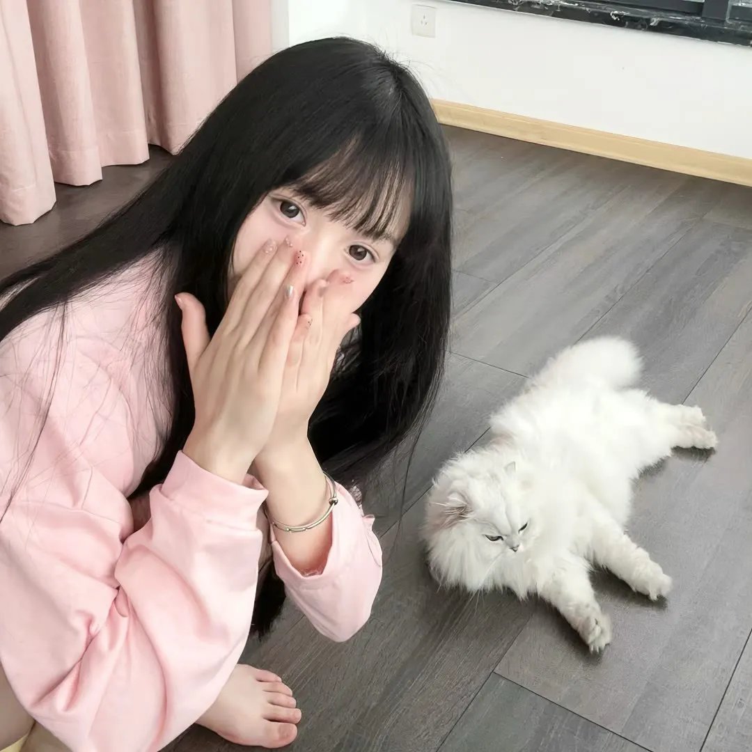 狗狗圣诞颂
