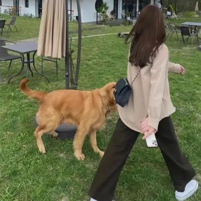 新埃及妖后